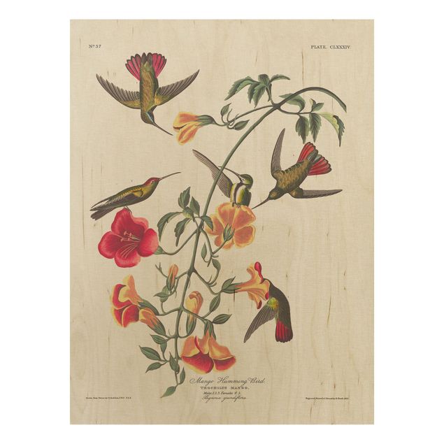 Holzbilder mit Blumen Vintage Lehrtafel Mango Kolibris