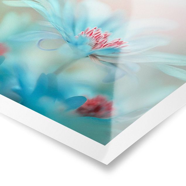 Poster - Zarte Blüten in Pastell - Quadrat 1:1