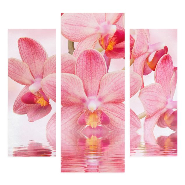 Wandbilder Rosa Orchideen auf Wasser