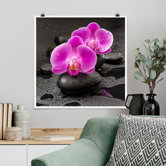 Blumenposter Pinke Orchideenblüten auf Steinen mit Tropfen