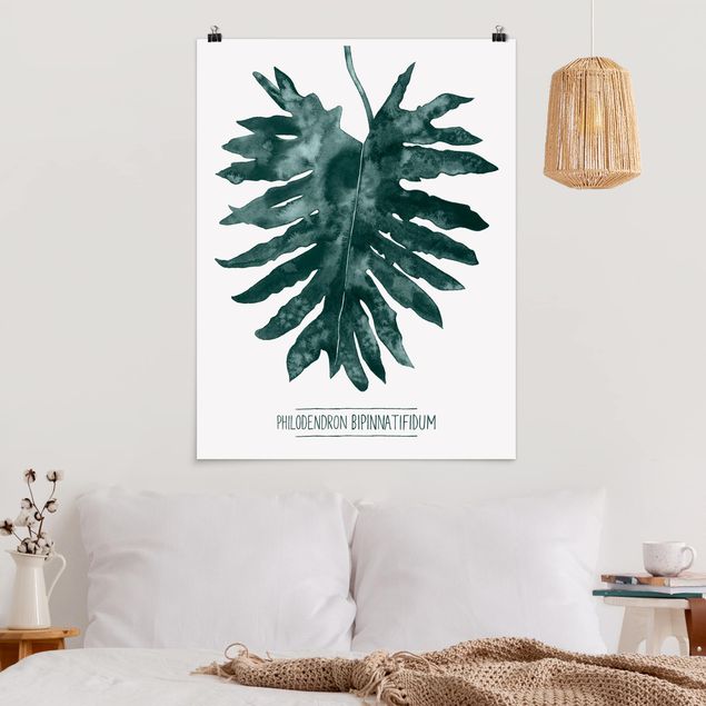 Poster Kunstdruck Smaragdgrüner Philodendron Bipinnatifidum