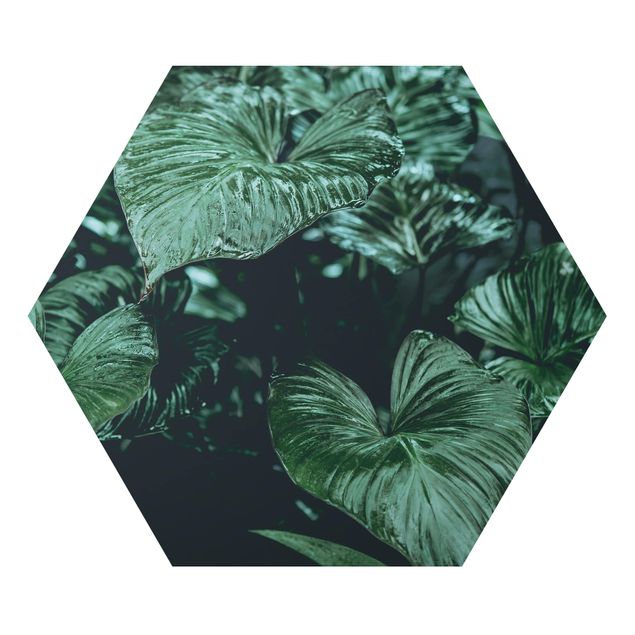 Hexagon Bild Alu-Dibond - Tropische Pflanzen I