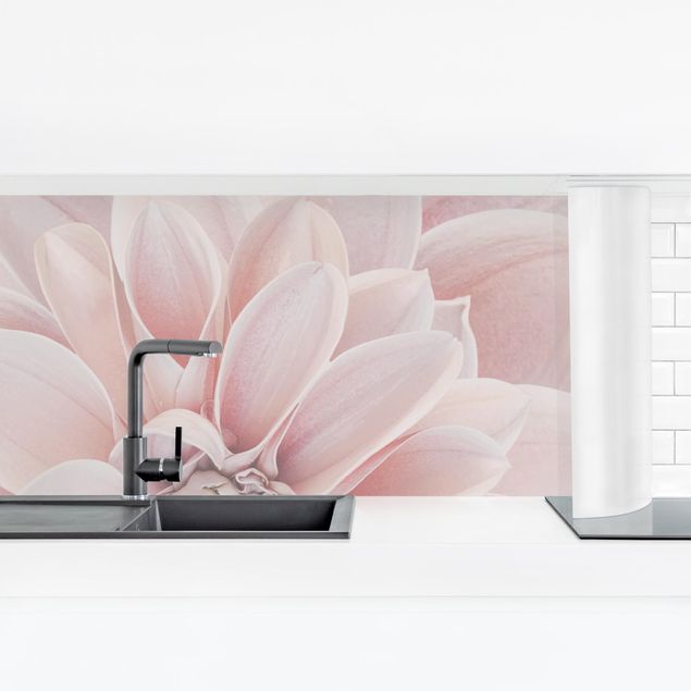 Küchenrückwand Blumen Dahlie in Puderrosa