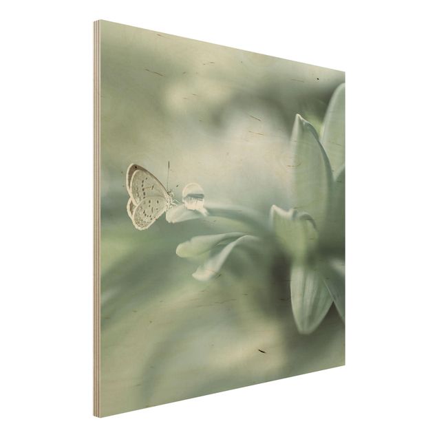 Moderne Holzbilder Schmetterling und Tautropfen in Pastellgrün