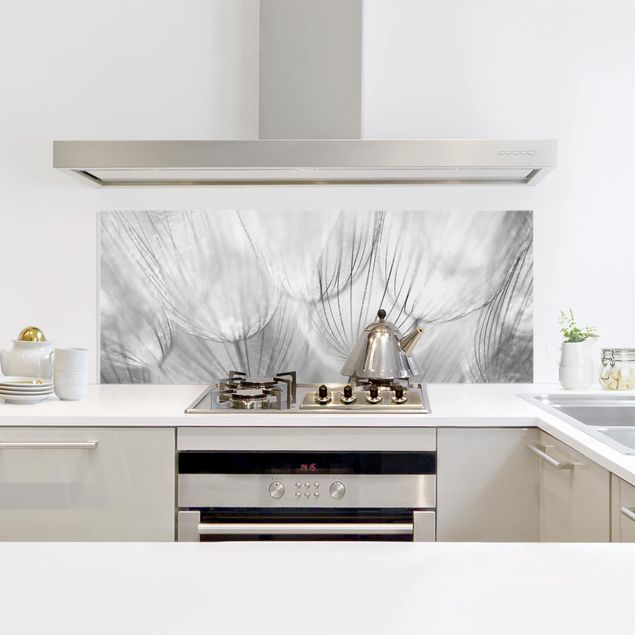 Küchenrückwand Glas Blumen Pusteblumen Makroaufnahme in schwarz weiß