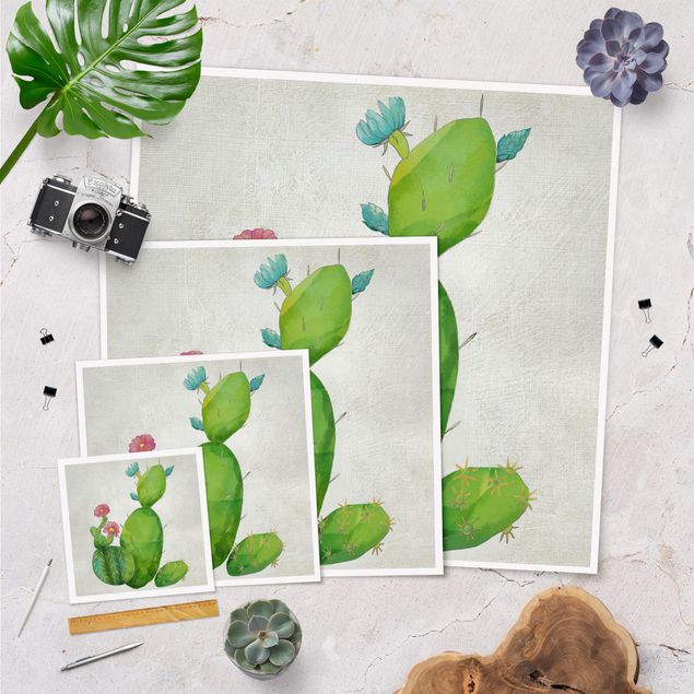 Poster - Kaktusfamilie rosa türkis - Quadrat 1:1