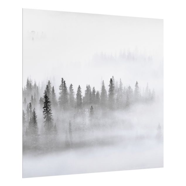 Spritzschutz Küche Nebel im Tannenwald Schwarz-Weiß