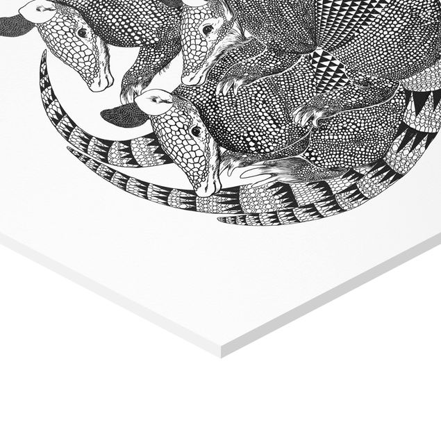 Hexagon Bild Forex - Illustration Gürteltiere Schwarz Weiß Muster