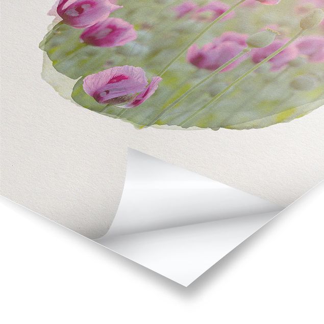 Poster - Wasserfarben - Violette Schlafmohn Blumenwiese im Frühling - Hochformat 4:3