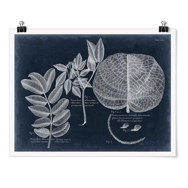 Bilder für die Wand Blattwerk Dunkelblau - Mangrove