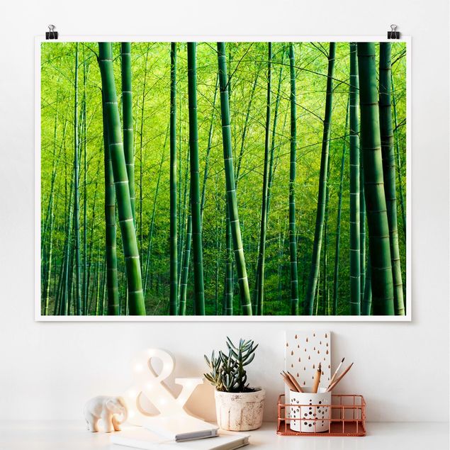 Natur Poster Bambuswald