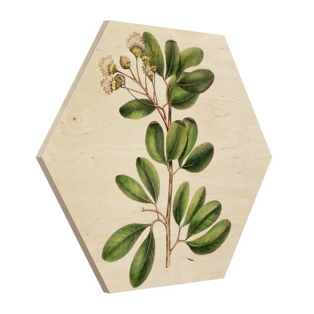 Bilder auf Holz Laubwerk mit Blüten III