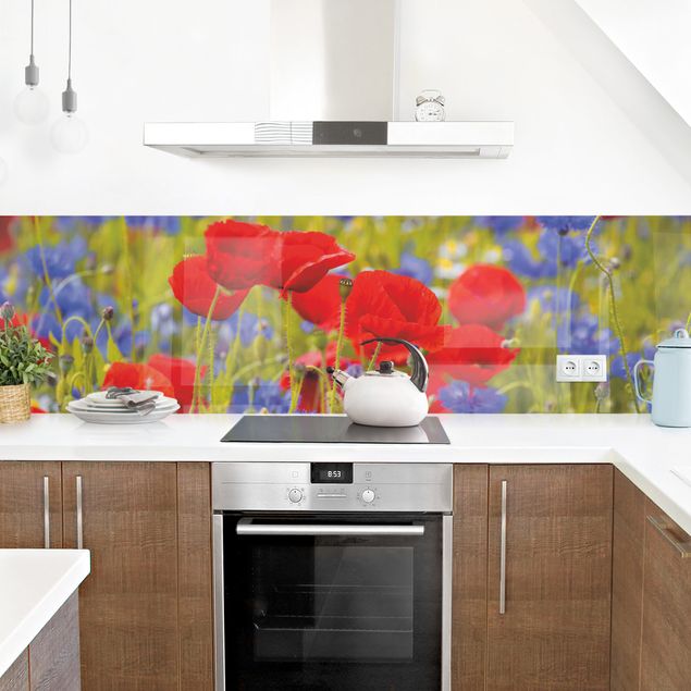 Küchenrückwand Glas Blumen Sommerwiese mit Mohn und Kornblumen