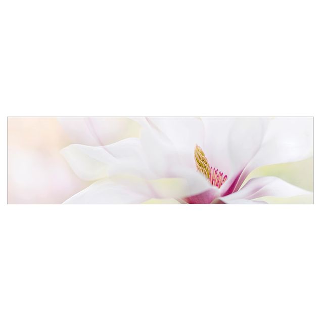 Selbstklebende Folie Zarte Magnolienblüte
