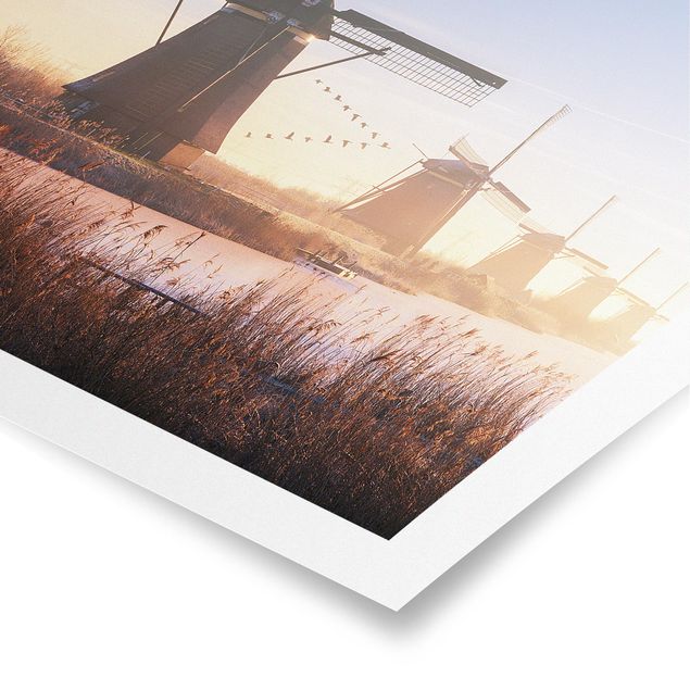 Poster - Windmühlen von Kinderdijk - Quadrat 1:1