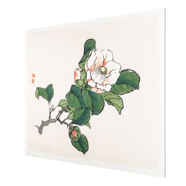 Forex Fine Art Print - Asiatische Vintage Zeichnung Apfelblüte - Querformat 3:4
