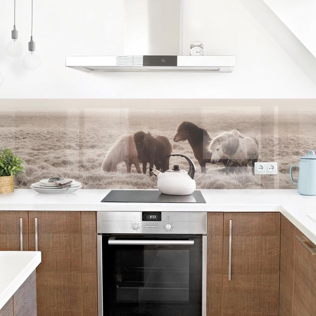 Küchenrückwände selbstklebend Island Wildpferde