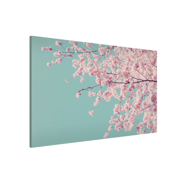 Magnettafel Büro Japanische Kirschblüte