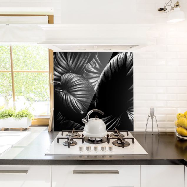 Küchenrückwand Glas Blumen Schwarz Weiß Botanik Hosta