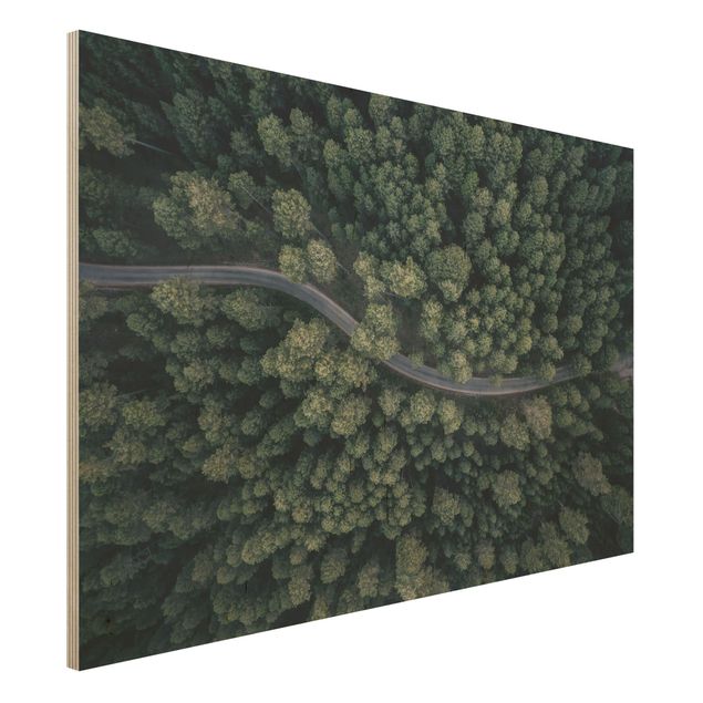 Moderne Holzbilder Luftbild - Waldstraße von Oben