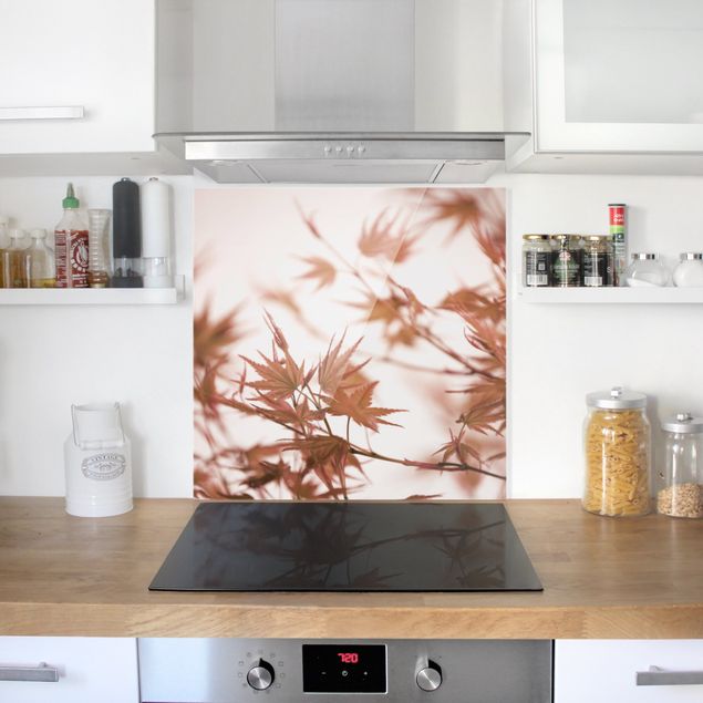 Küchenrückwand Glas Motiv Blumen Ahornblätter in Herbstsonne