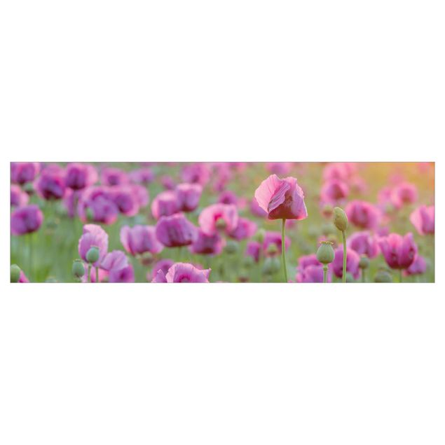 Klebe Dekorfolie Violette Schlafmohn Blumenwiese im Frühling