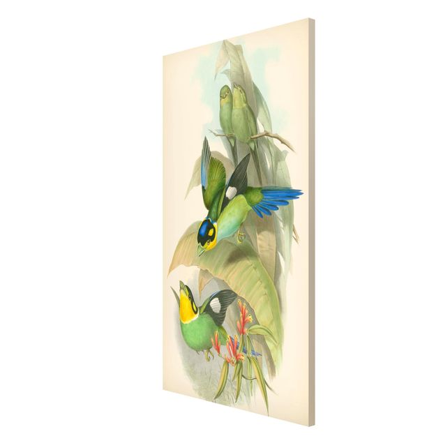 Magnettafel Blumen Vintage Illustration Tropische Vögel