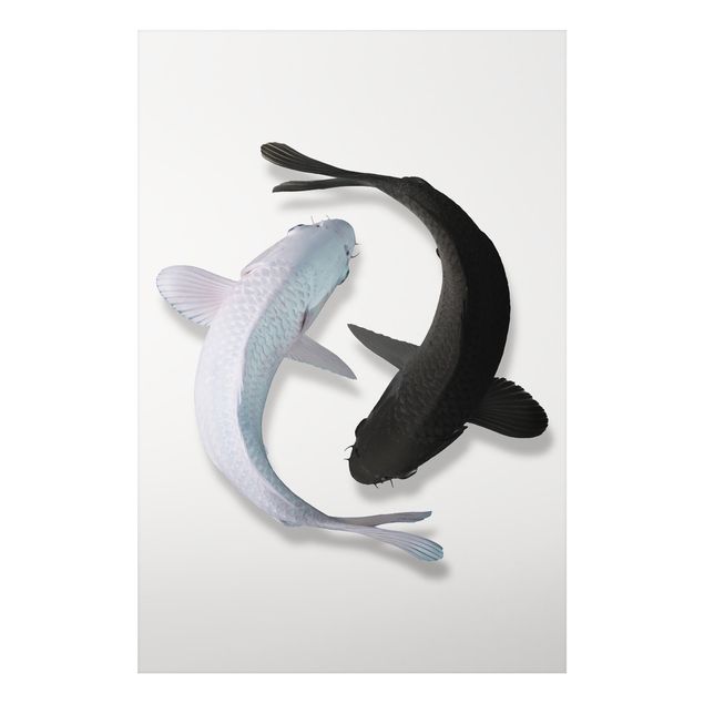 Schöne Wandbilder Fische Ying & Yang