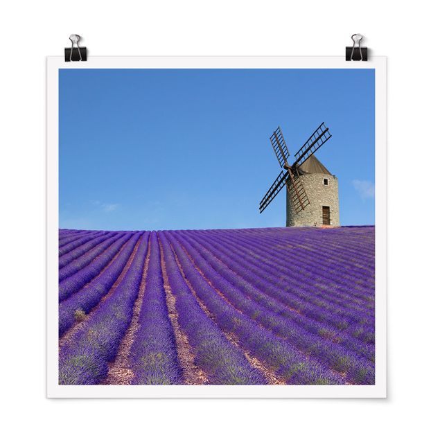 Schöne Wandbilder Lavendelduft in der Provence