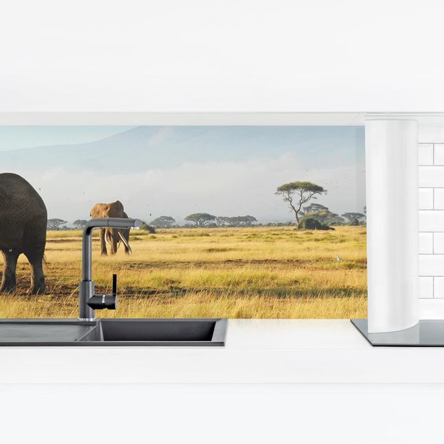 Küchenrückwand Glas Motiv Wald Elefanten vor dem Kilimanjaro in Kenya