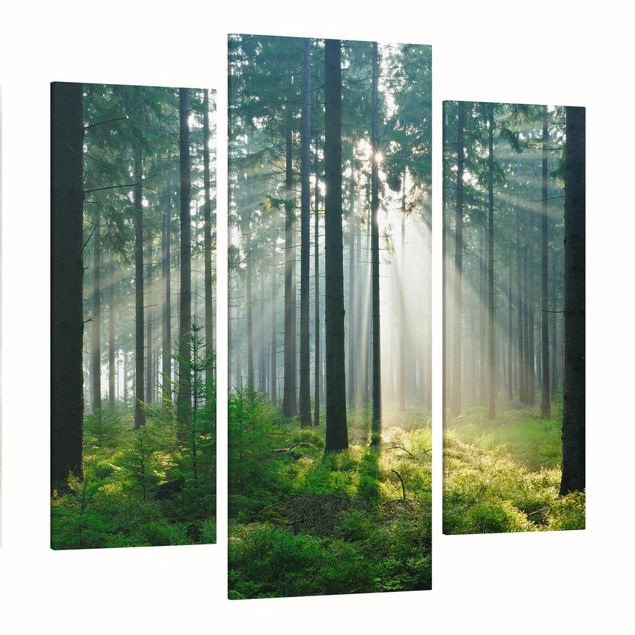 Wandbilder Wohnzimmer modern Enlightened Forest