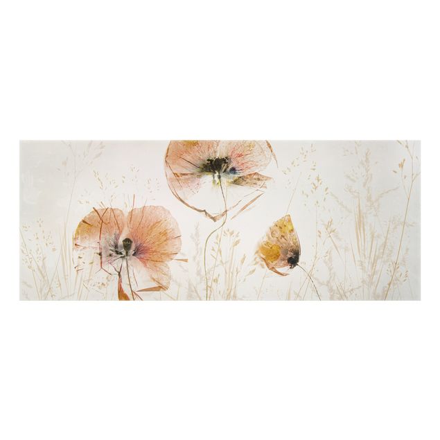 Spritzschutz Glas - Getrocknete Mohnblüten mit zarten Gräsern - Panorama 5:2