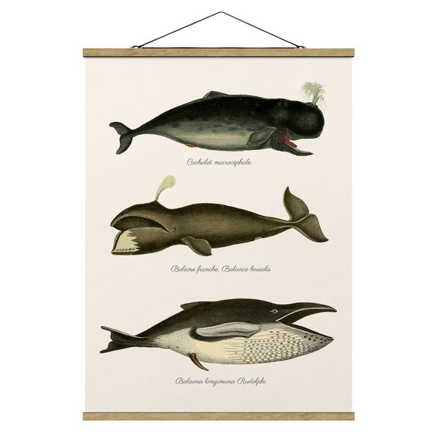 Stoffbild mit Posterleisten - Drei Vintage Wale - Hochformat 3:4