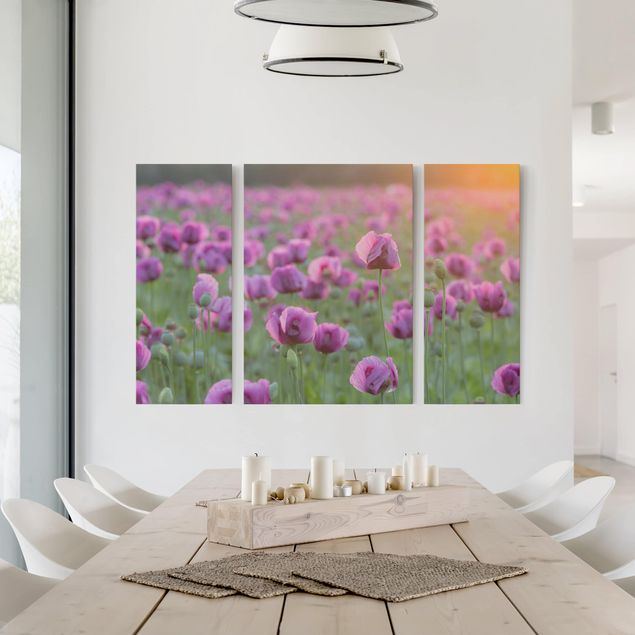 Mohnblumen Leinwandbild Violette Schlafmohn Blumenwiese im Frühling
