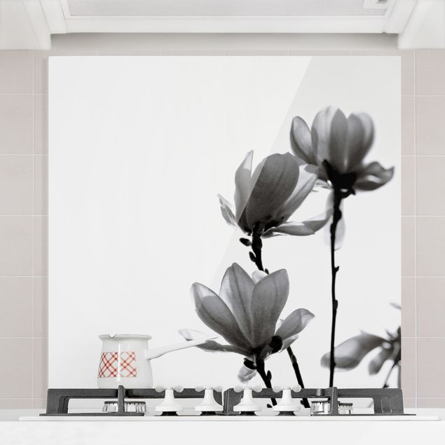 Spritzschutz Glas magnetisch Frühlingsbote Magnolie Schwarz Weiß