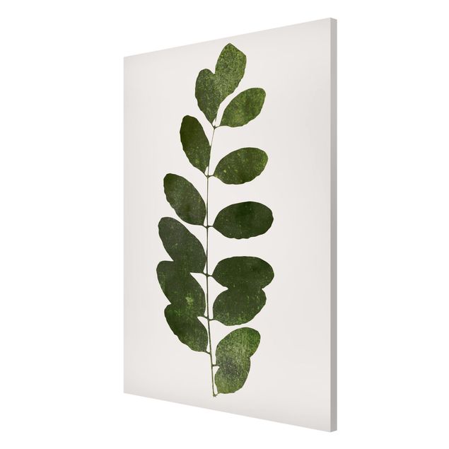 Bilder für die Wand Grafische Pflanzenwelt - Dunkelgrün