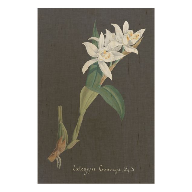 Holzbild Blumen Weiße Orchidee auf Leinen II