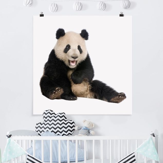 Poster Kinderzimmer Tiere Lachender Panda