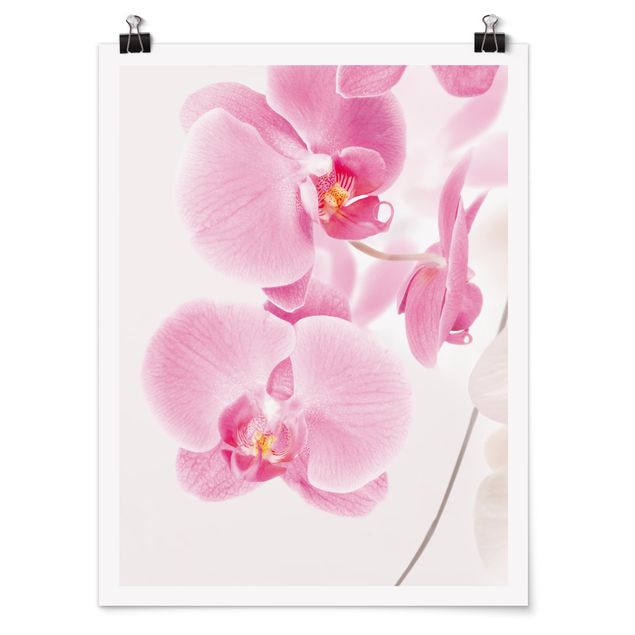 Poster - Delicate Orchids - Hochformat 3:4