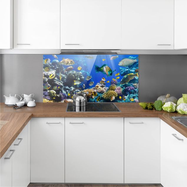 Küchenrückwand Glas Landschaft Underwater Reef