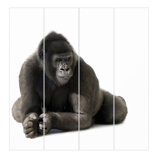 Schiebegardinen 6er Set Liegender Gorilla II