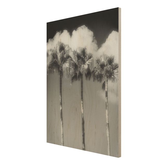 Moderne Holzbilder Palmen vor Himmel Schwarz-Weiß