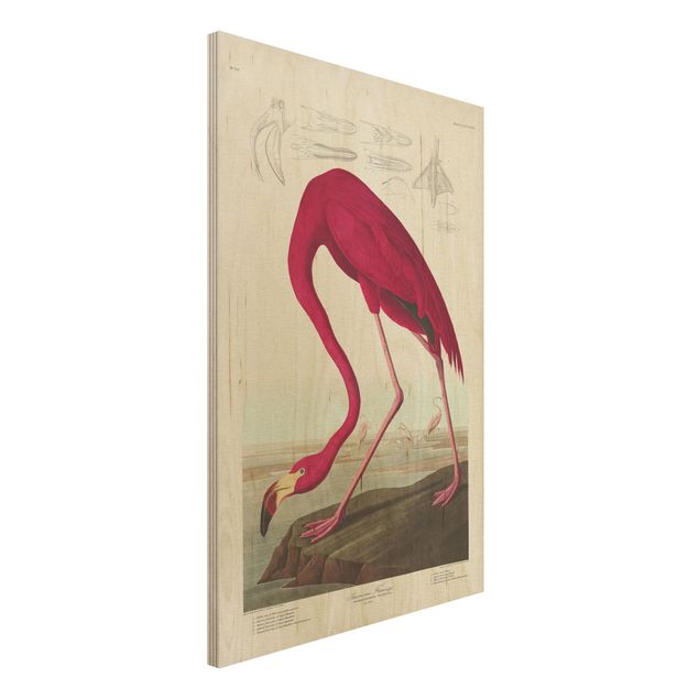 Wandbild Holz Vintage Vintage Lehrtafel Amerikanischer Flamingo