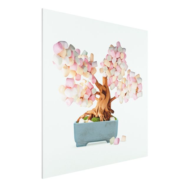 Foto auf Hartschaumplatte Bonsai mit Marshmallows