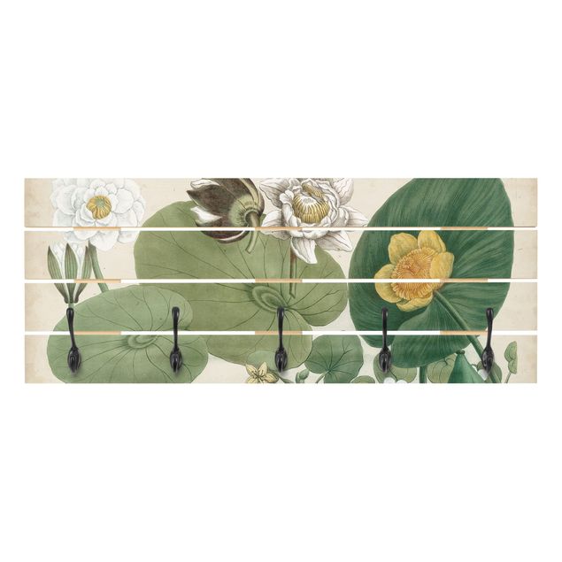 Wandgarderobe Holz - Vintage Illustration Weiße Wasserlilie - Haken chrom Querformat