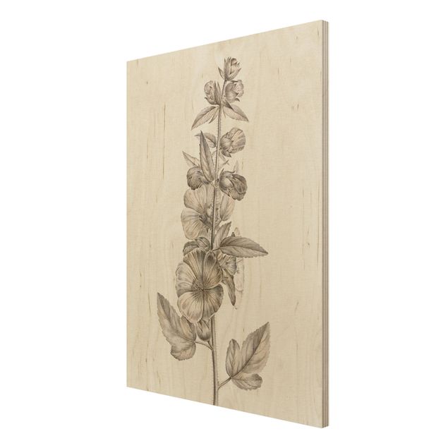 Moderne Holzbilder Botanische Studie in Sepia II