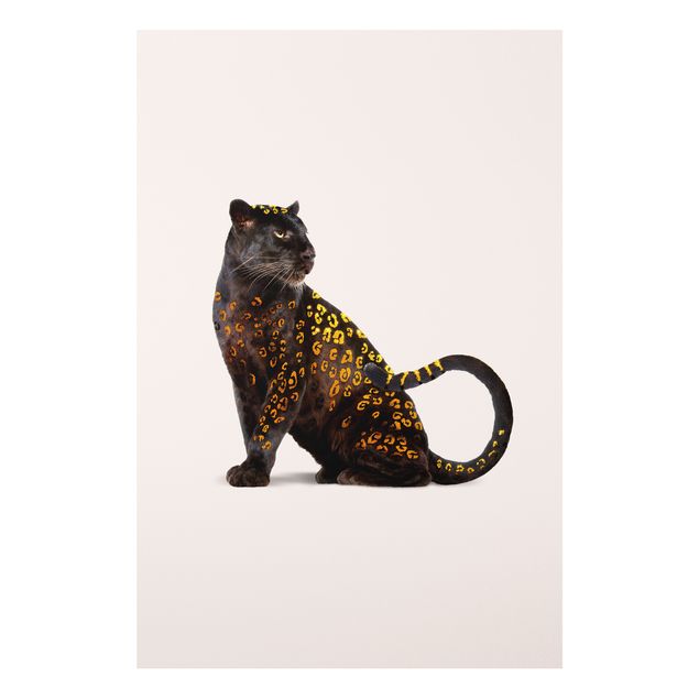 Bilder auf Hartschaumplatte Goldener Panther