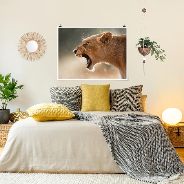 Poster Tiere Löwin auf der Jagd