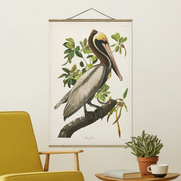 Wandbilder Tiere Vintage Lehrtafel Brauner Pelikan