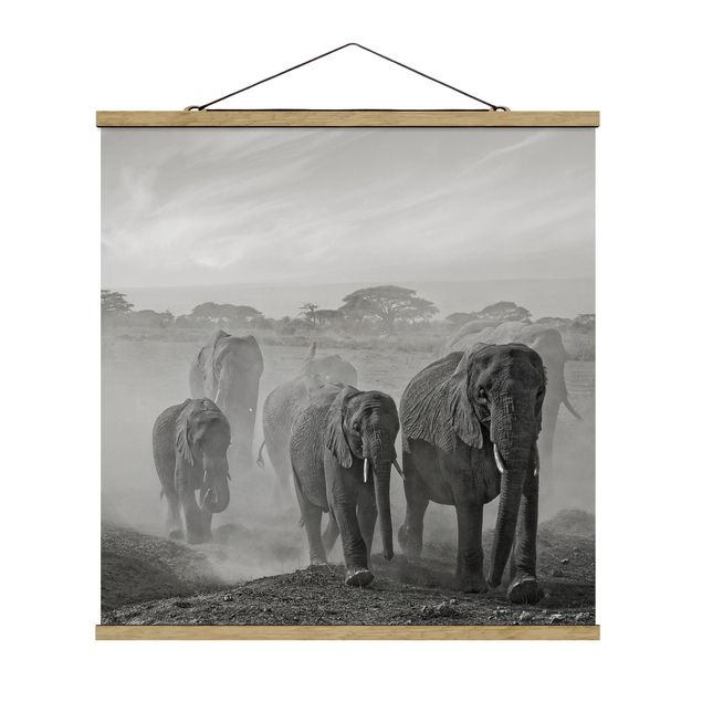 Stoffbild mit Posterleisten - Elefantenherde - Quadrat 1:1
